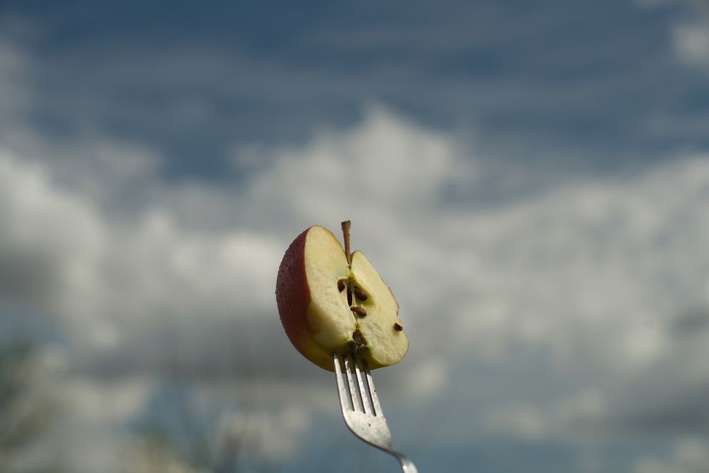 Фотография автора Медведев Сергей