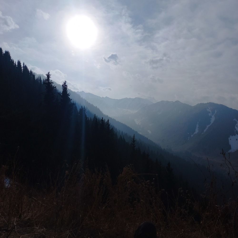 Photograph by Андрей
