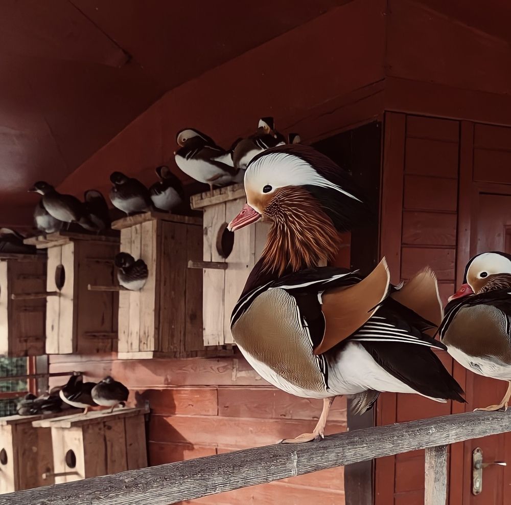 Photograph by Ирина Дерда