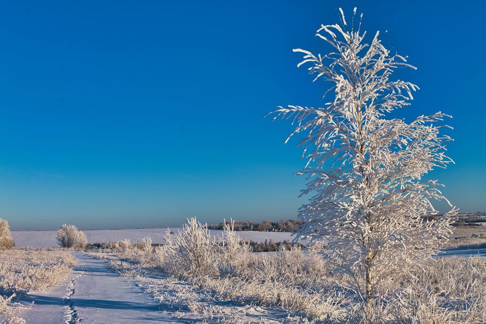 Photograph by Евгений Рощин