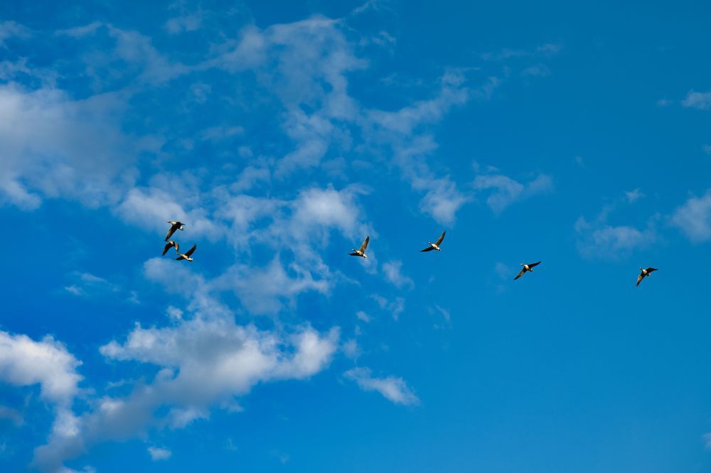 Photograph by Евгений Рощин