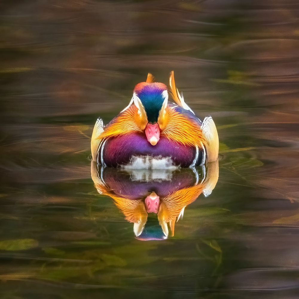 Photograph by Власов Егор