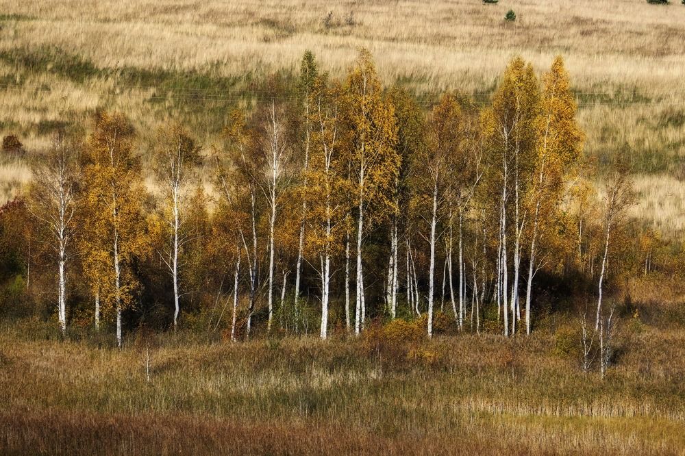 Photograph by Татьяна