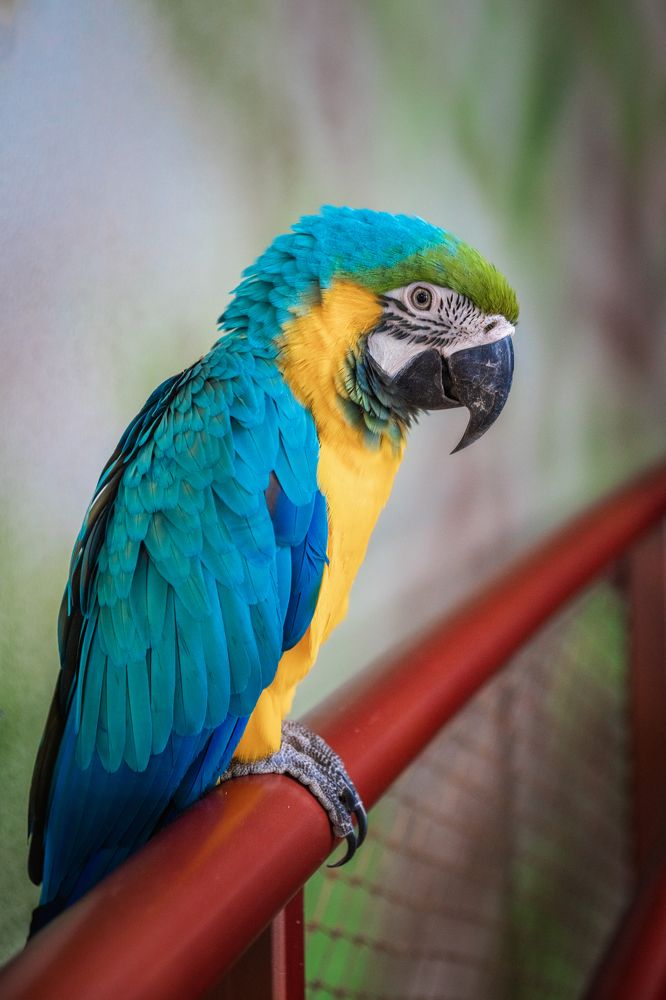 Photograph by Ольга Рачилова