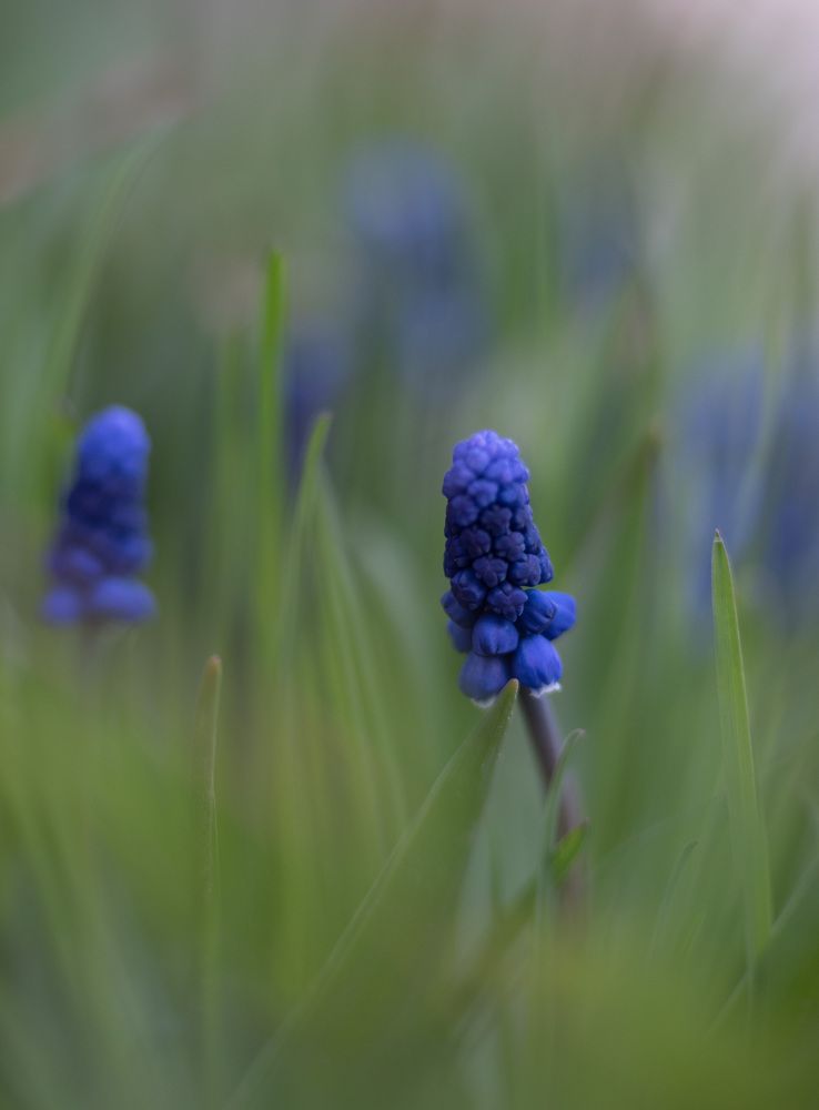Фотография автора Рохмистрова Мария