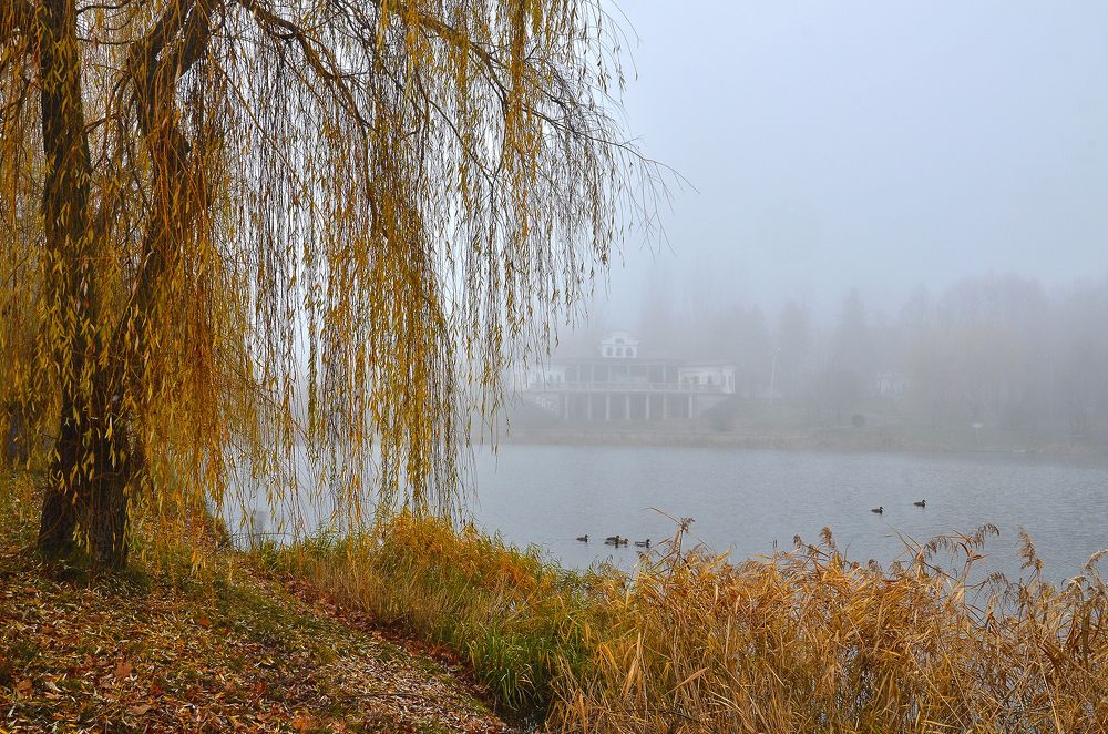 Photograph by Давид Тетельман