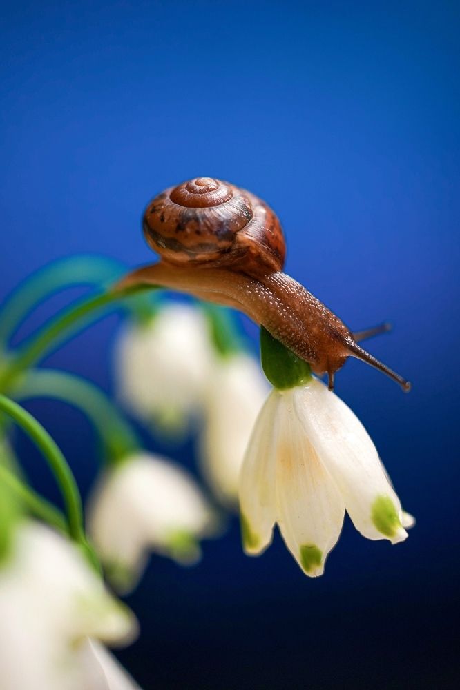 Photograph by Екатерина Коннова