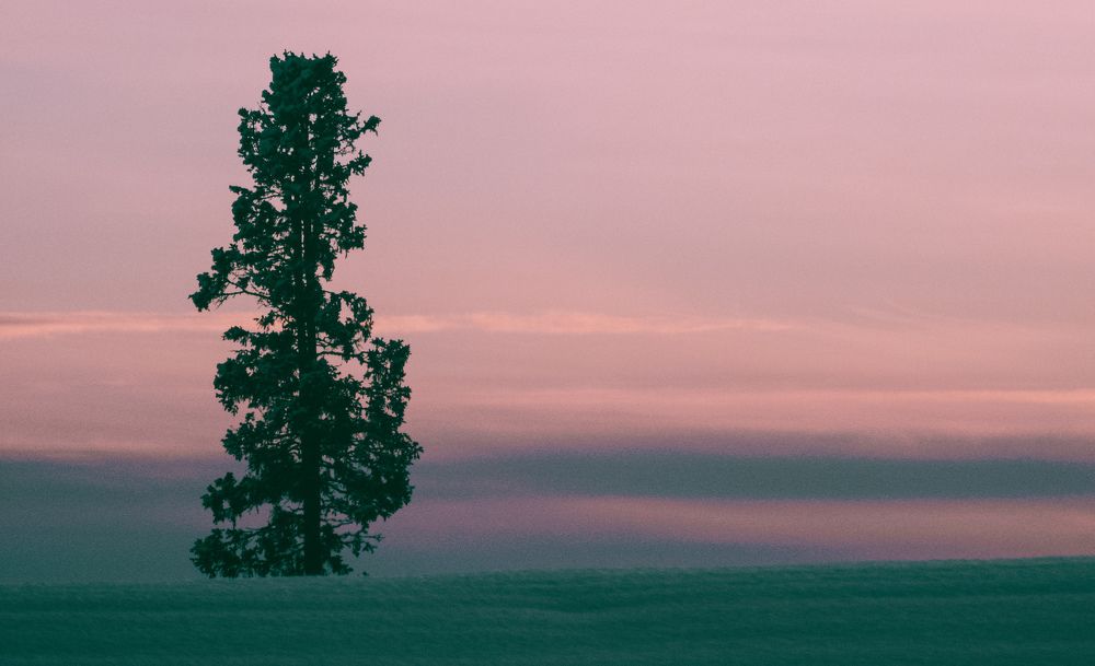 Photograph by Андрей Миронов