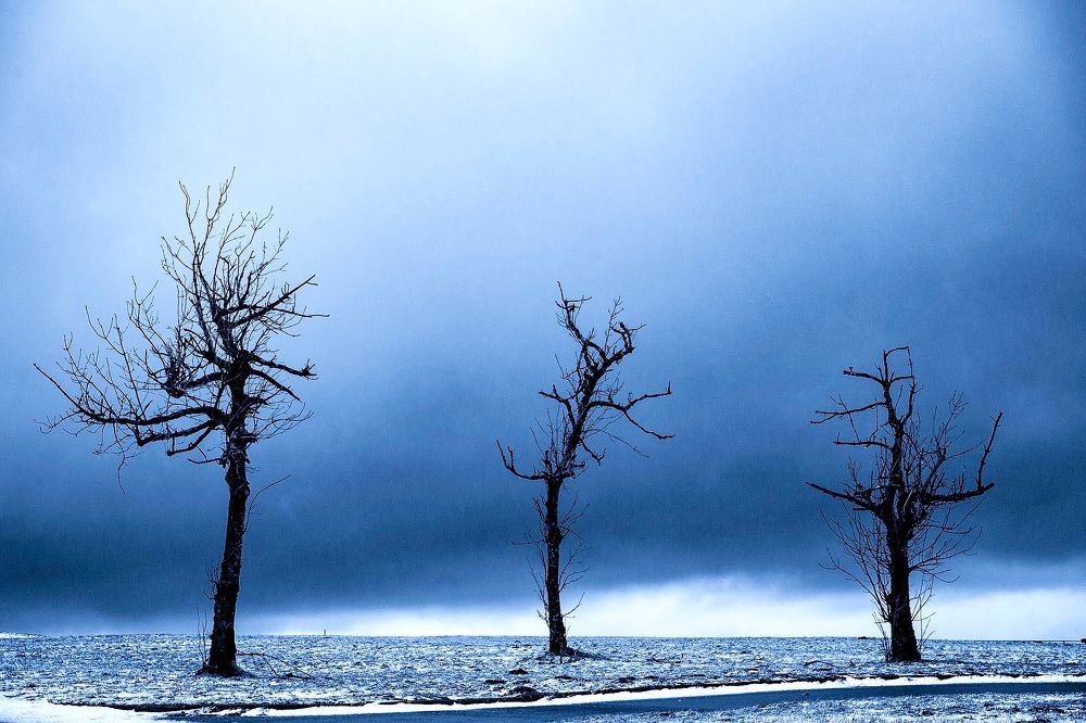 Photograph by Анжелика Костин