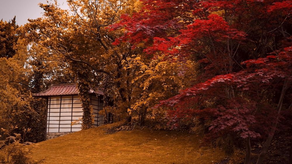 Photograph by Андрей Михайлин