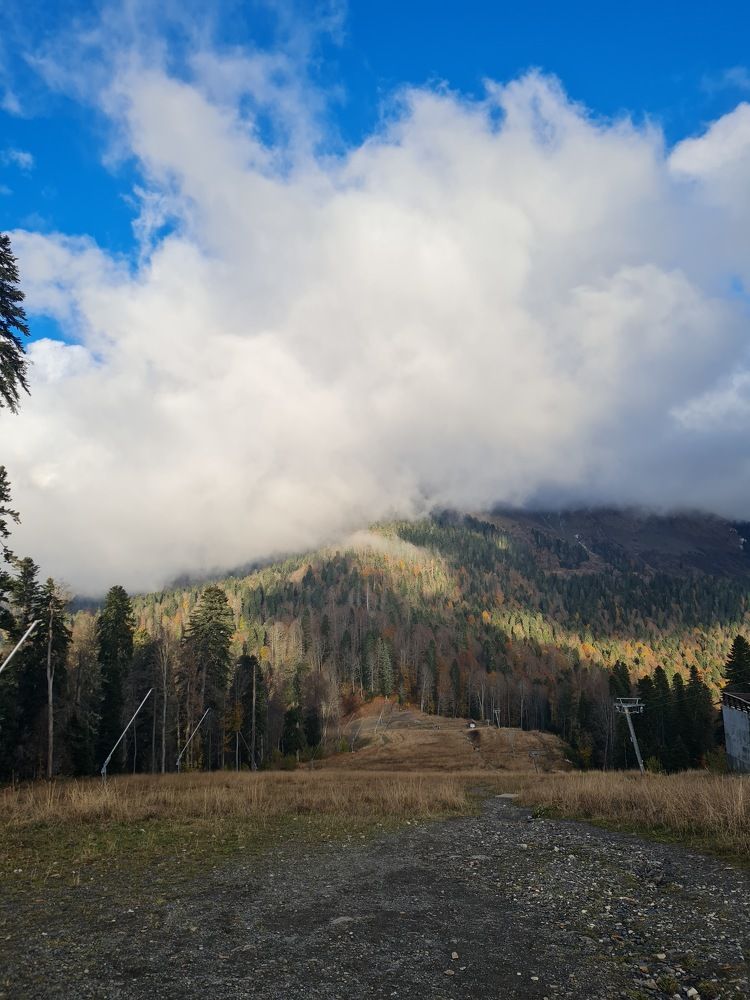 Photograph by Tatiana Denisova