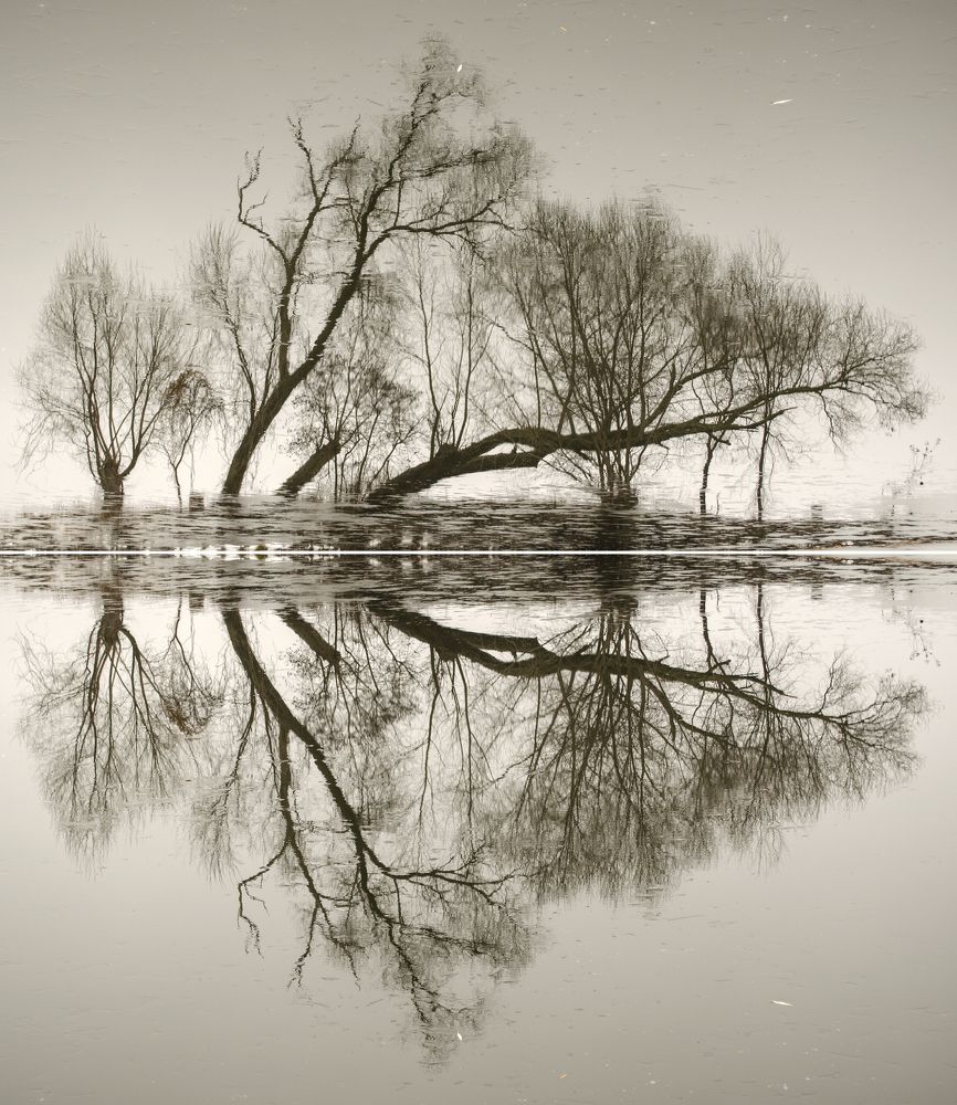 Photograph by Евгений Каримов