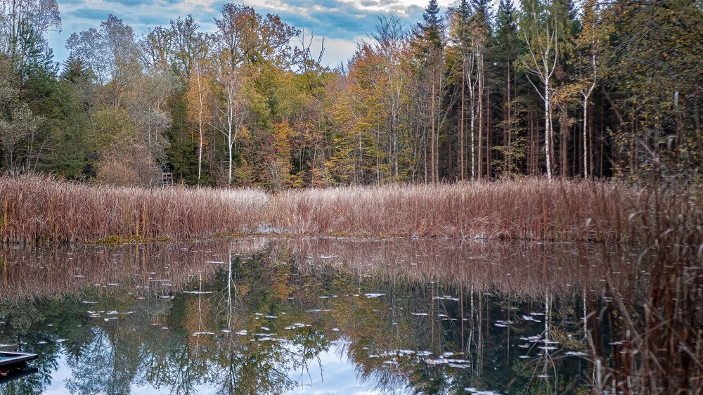 Photograph by W_r Fischer