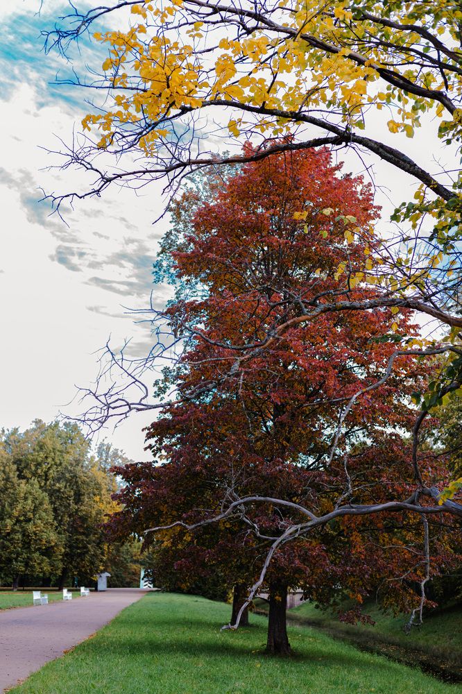 Photograph by Мария Федорова