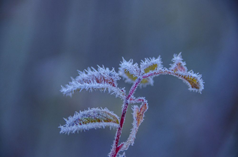 Photograph by Надежда Михайлина
