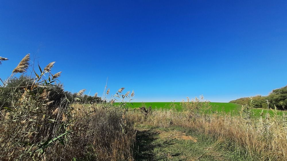 Photograph by ИГОРЬ