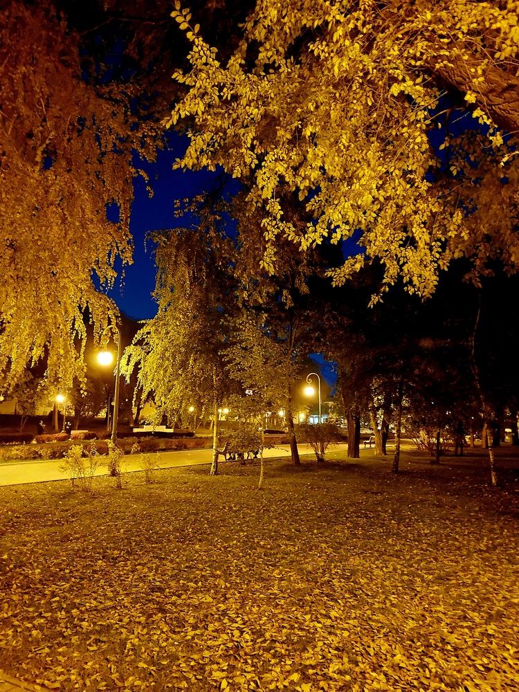 Photograph by Нина Паршина