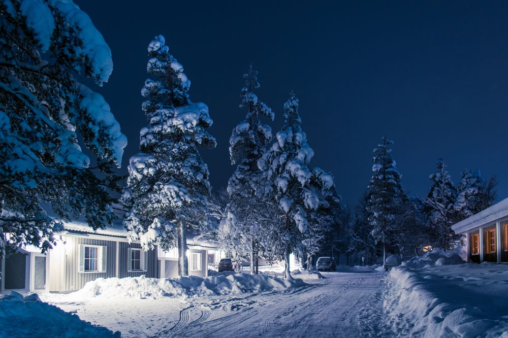 Photograph by Алексей