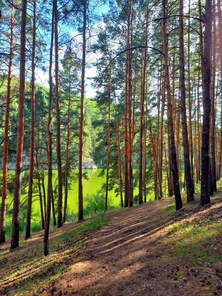 Photograph by Мария