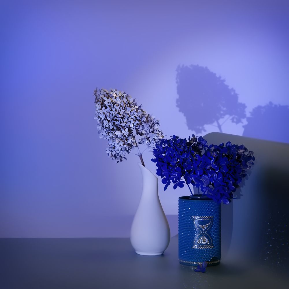 Photograph by Людмила Ефремова