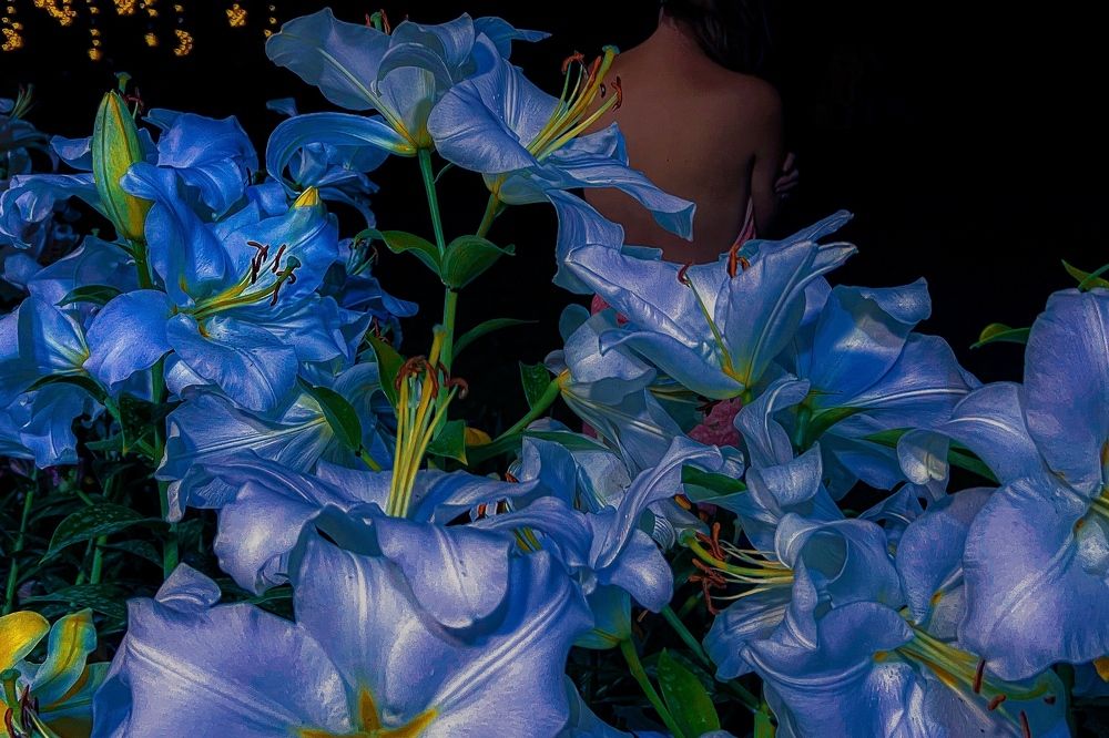 Photograph by Юлия Честнова