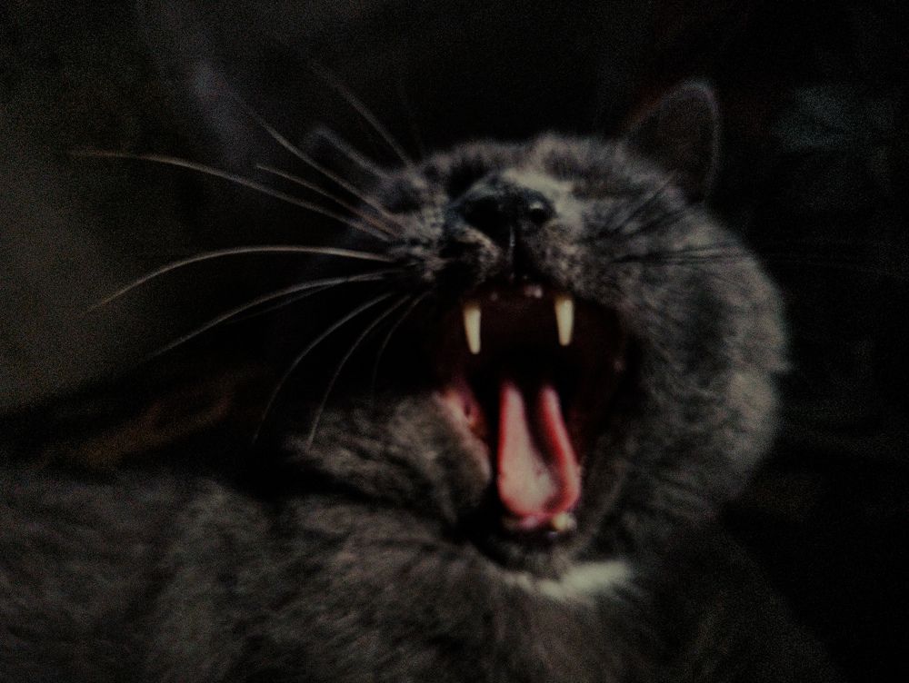 Photograph by Валерия Александровна