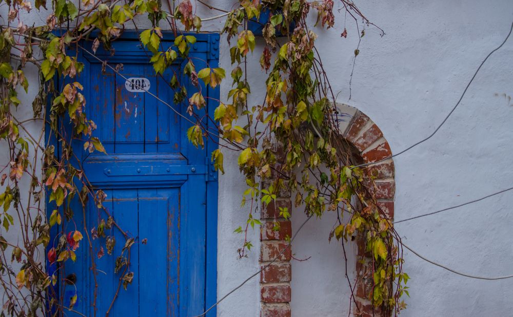 Photograph by Ольга Заповедная