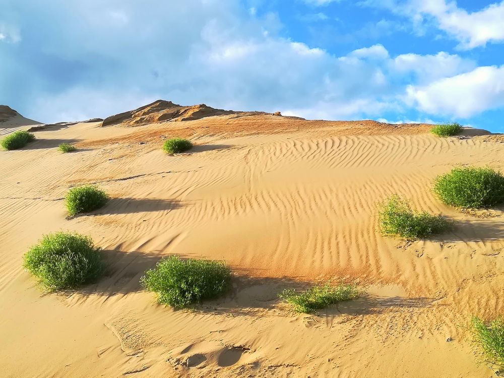 Photograph by Мария