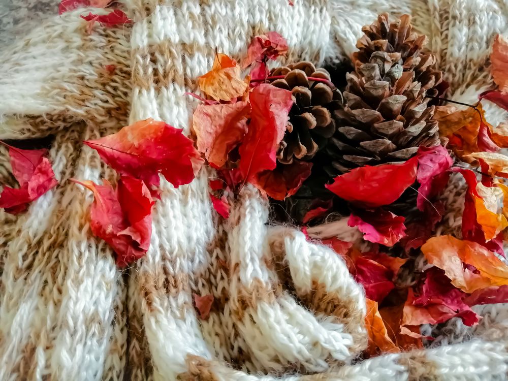 Photograph by Татьяна Чарушина