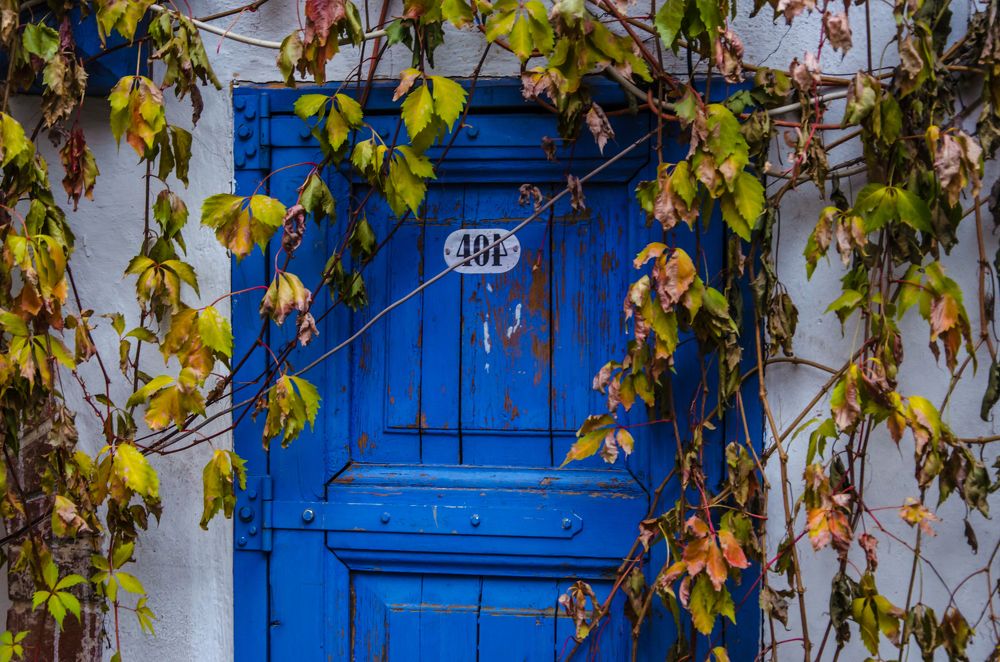 Photograph by Ольга Заповедная