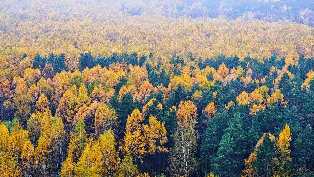 Photograph by Marie G