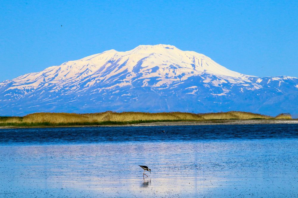 Photograph by Fatih YILMAZ