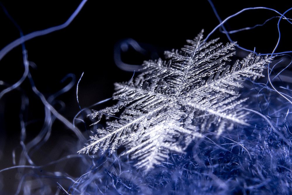 Photograph by Алёна Газукина