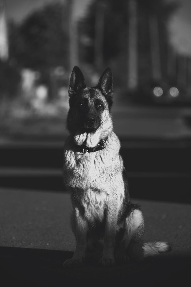 Photograph by ЕВГЕНИЙ СКАЛОЗУБОВ