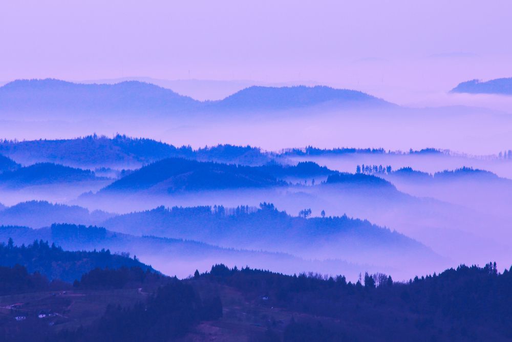 Photograph by Анжелика Костин