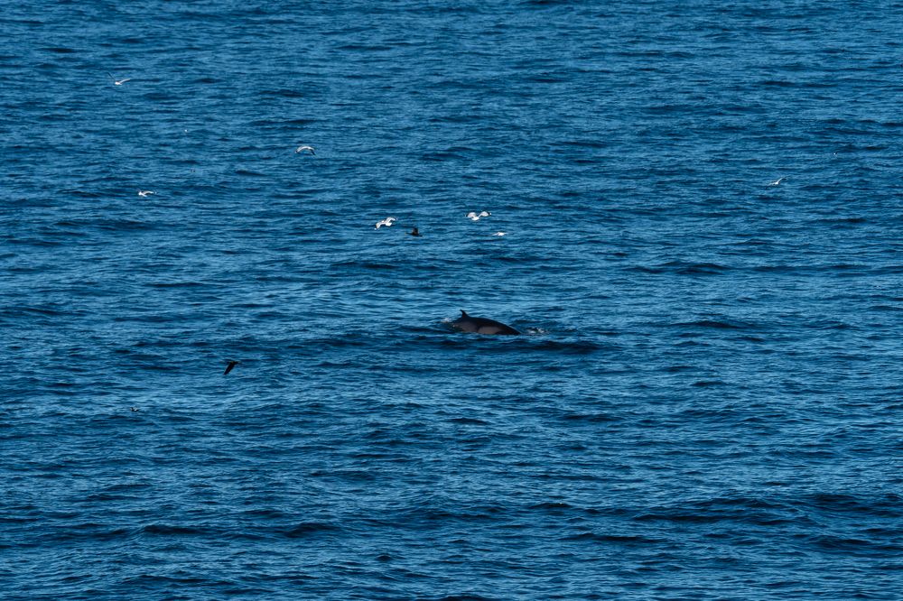 Photograph by Екатерина Афанасьева