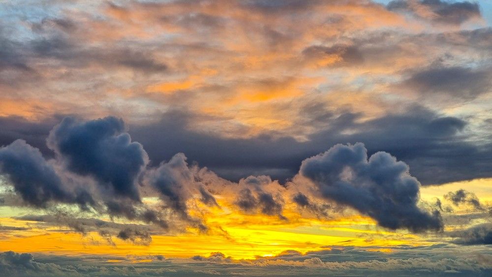 Photograph by Marie G