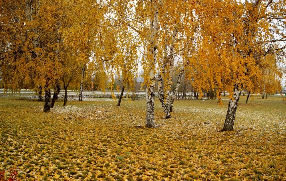 Photograph by Жанна Кочеткова