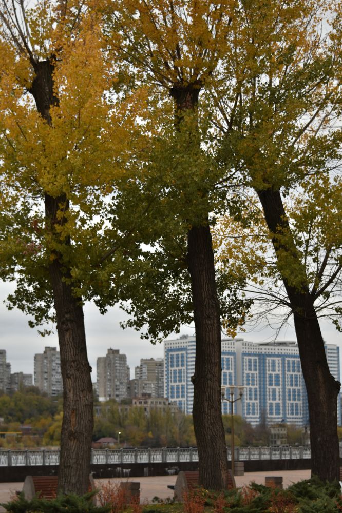 Photograph by Светлана Войта