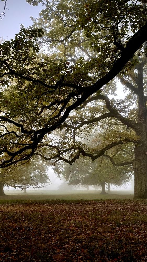 Photograph by Olga Kimerling