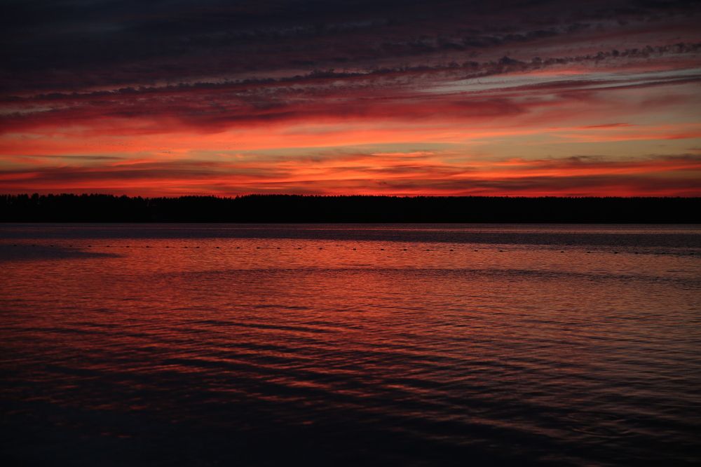 Photograph by Ира Солощ