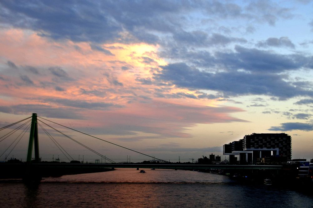 Photograph by Luisa Martina Hernández