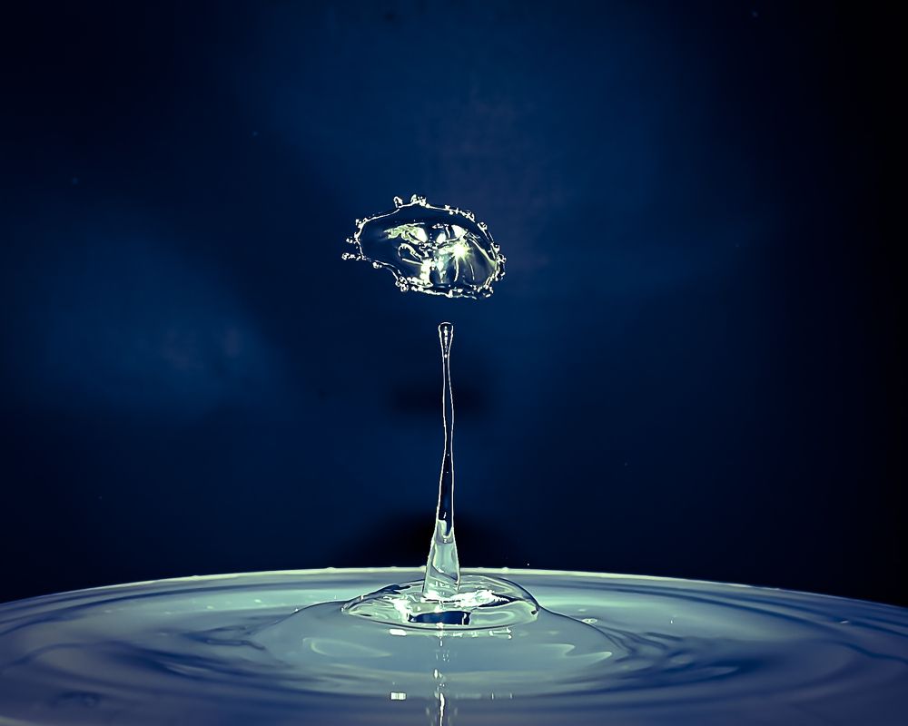 Photograph by Silvia Marcos