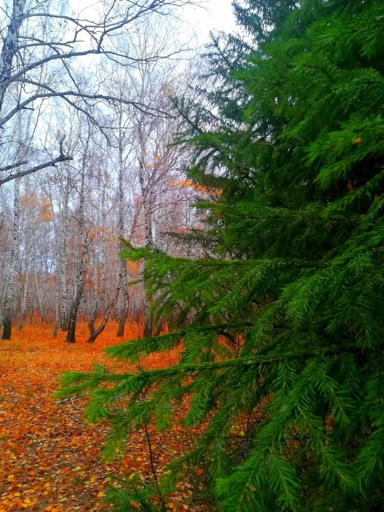 Photograph by Мария