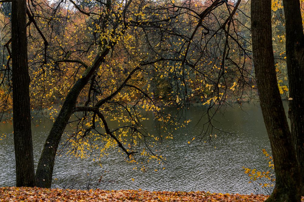 Photograph by Татьяна Овчинникова