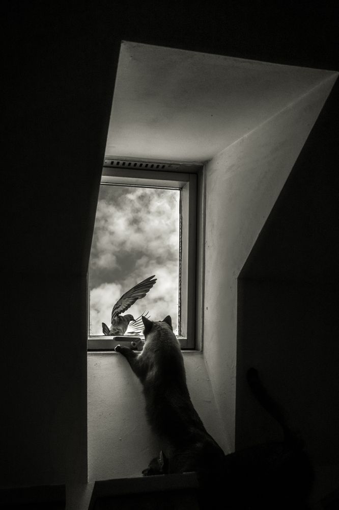 Photograph by Attila Szanto