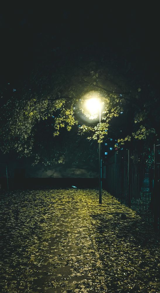 Photograph by Екатерина Алимова