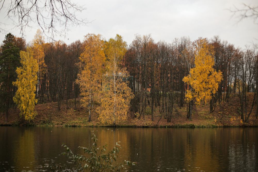 Photograph by Татьяна Овчинникова