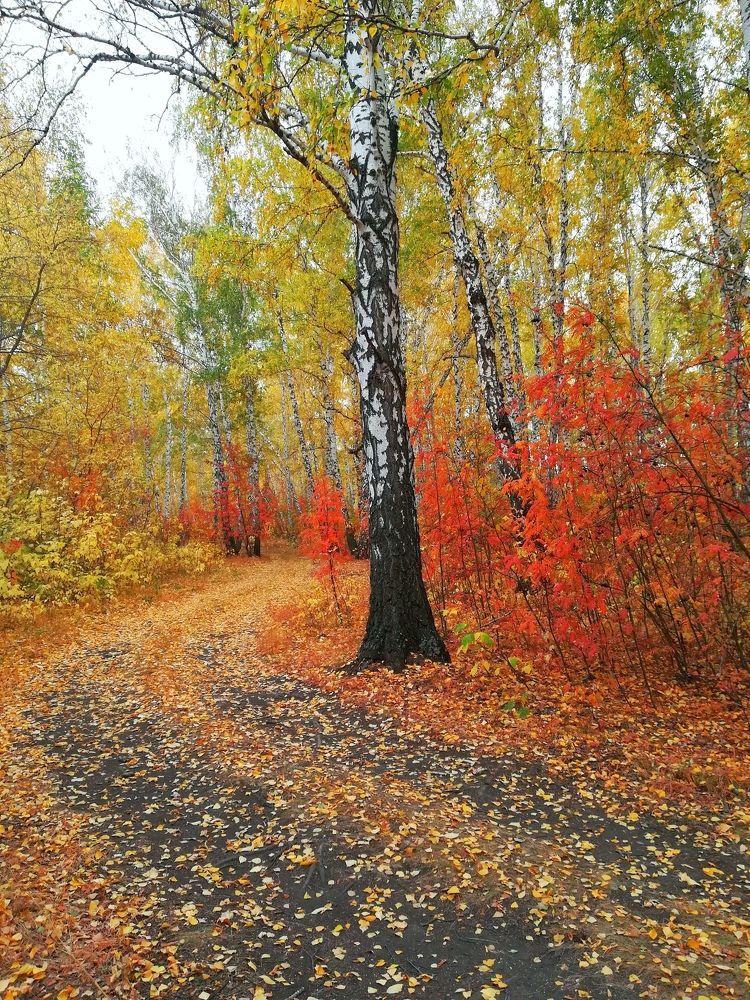 Photograph by Мария