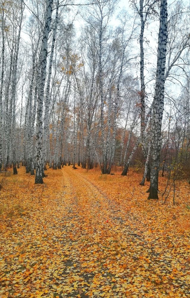 Photograph by Мария